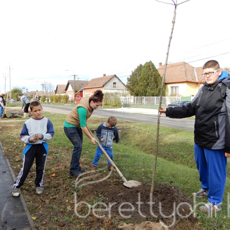 Közösségi faültetés Berettyóújfaluban 39